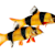 Thriving Loach Care: Tank Setup, Feeding, & Compatibility Guide