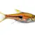 Freshwater Semi-Aggressive Fish: Top Secrets for a Thriving Tank
