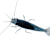 Thriving Freshwater Shrimp: Tank, Food, & Compatibility Tips