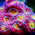 Hard Coral Care: Setup, Feeding, & Compatibility for Your Reef Tank