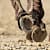Do Horses Need Horseshoes? A Complete Guide