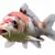 Mastering Koi Care: Optimal Tank, Food, Water Quality & Health Tips