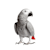 Expert Care for Your Large Hookbill: Food, Habitat, Health & Happiness