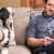 Dog Dandruff Solutions: 8 Causes & Best Treatments for Flaky Skin