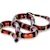 Milk Snake Care: Your Complete Guide to Habitat, Food & Health