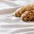 Puppy Costs: Essential First-Year Budget for New Puppy Parents
