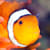 Nitrate Levels in Fish Tanks: Saltwater Guide