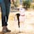 Your Dog's Health: 9 Common Problems, Symptoms, Causes & Treatment