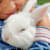 Rabbit Facts & Care: Essential Tips for a Happy, Healthy Bunny