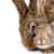 Is Your Rabbit Pregnant? Spot the Signs, Gestation & Full Care Guide
