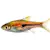 Master Rasbora Care: Tank Setup, Food & Compatibility for Beginners
