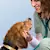 Dog Intestinal Parasites: Identify, Prevent & Treat Common Worms