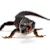 Ultimate Red-Eyed Crocodile Skink Care Guide: Habitat, Food & Health