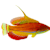 Ultimate Reef-Safe Wrasse Care: Tank Setup, Food & Compatibility
