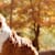 Pet Boarding vs. Pet Sitting: Choose Best Care While You're Away