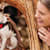 Grain-Free Dog Food: Is It Healthy? What Pet Owners Must Know