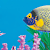 Easiest Saltwater Fish for Beginners (2025 Guide)
