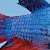 Betta Fish Maintenance: Complete Care Guide