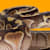 Why Is My Snake's Mouth Open? Gaping Explained