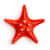 Starfish Care: Master Tank, Food & Compatibility for Happy Pets