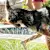 How to Keep Your Dog Cool and Hydrated in Summer