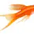 Beginner's Swordtail Fish Care: Tank, Food, & Compatibility Guide