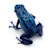 Master Terrestrial Frog Care: Habitat, Diet & Health Secrets