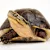 Terrestrial Turtle Care Guide: Food, Habitat, & Setup for a Happy Pet