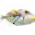 Triggerfish Care: Tank, Diet, & Compatibility for Aggressive Fish