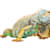 Green Iguana Care: The Ultimate Guide to Food, Habitat & Health