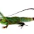 Ultimate Tropical Lizard Care: Habitat, Food & Health for a Happy Pet