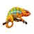 Warm Climate Chameleon Care: Best Food, Habitat & Health Tips