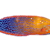 Ultimate Wrasse Care Guide: Tank Setup, Feeding, & Compatibility