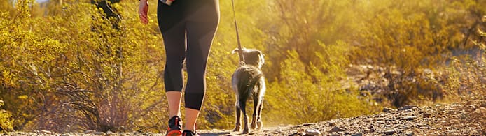 How Long After Pest Control Is It Safe for Pets?