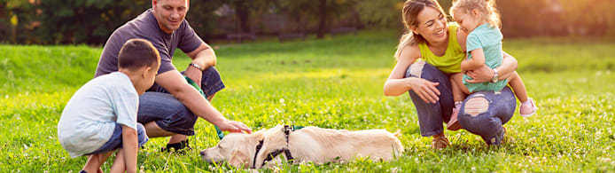 How to Safely Introduce Kids & Dogs: A Guide for Pet Parents