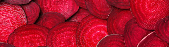 Can Dogs Eat Beets? What Pet Parents Should Know