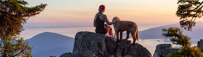 Poison Ivy on Dogs: Identify, Treat & Prevent Your Dog's Itch