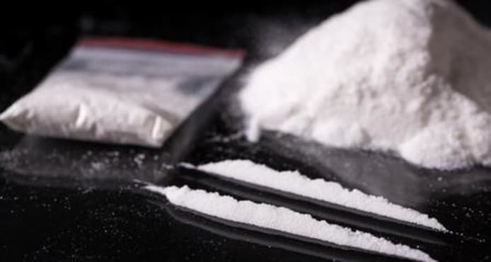 My Dog or Cat Ate Cocaine: Emergency Guide & Immediate Vet Help