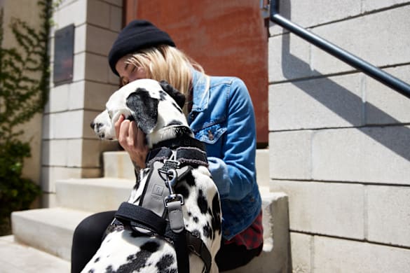 Sustainable Pet Products: Durable, Recycled Gear for Your Pet & Planet