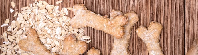 Can Dogs Eat Oatmeal? Benefits, Risks & How to Serve