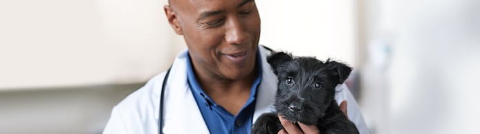 Dog Coccidia: Protect Your Pet – Symptoms, Treatment & Prevention