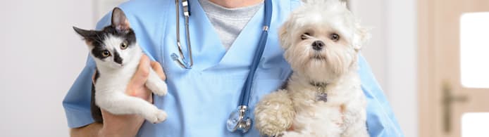 Enalapril for Pets: Treat Heart, Kidney & Blood Pressure Effectively