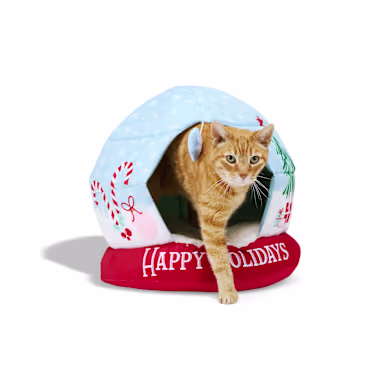 Petco Holiday Gifts: Treat Your Pet to Creative & Affordable Fun