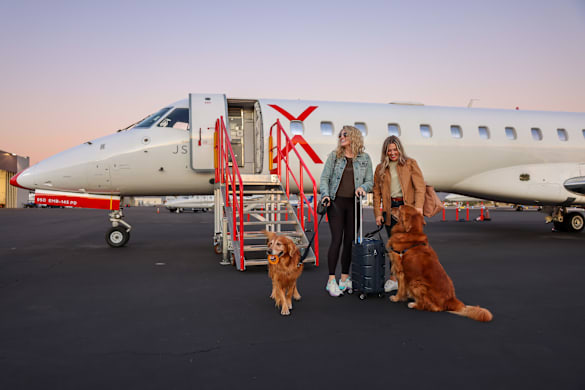 Dog Air Travel: The Best Flight Experiences for Your Pup
