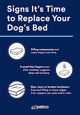 When to Replace or Throw Away a Dog Bed