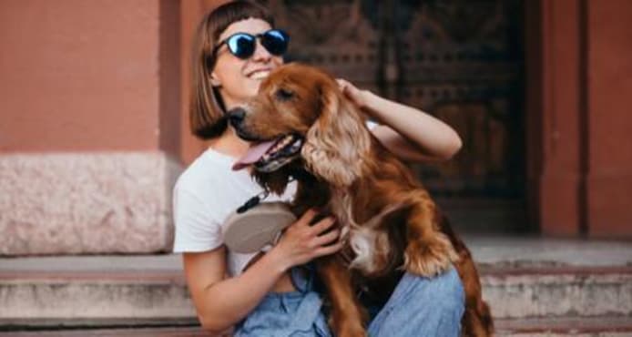 Why Does My Dog Sit on Me? 6 Real Reasons