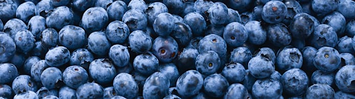 Can Cats Eat Blueberries? A Vet-Backed Guide