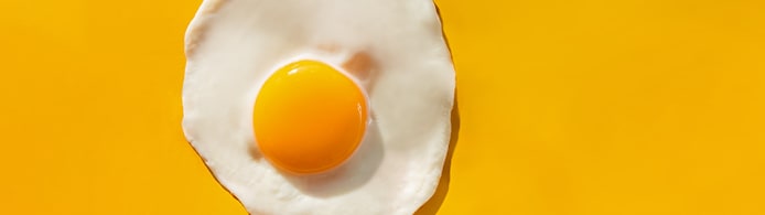 Can Cats Eat Eggs? What Pet Parents Should Know