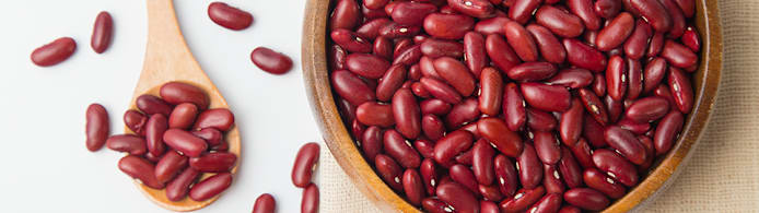 Can Dogs Eat Beans? Safe Types & How to Serve