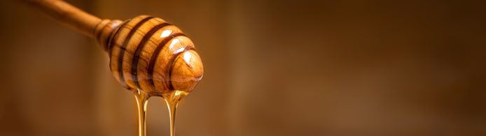 Can Dogs Eat Honey? What Pet Parents Should Know